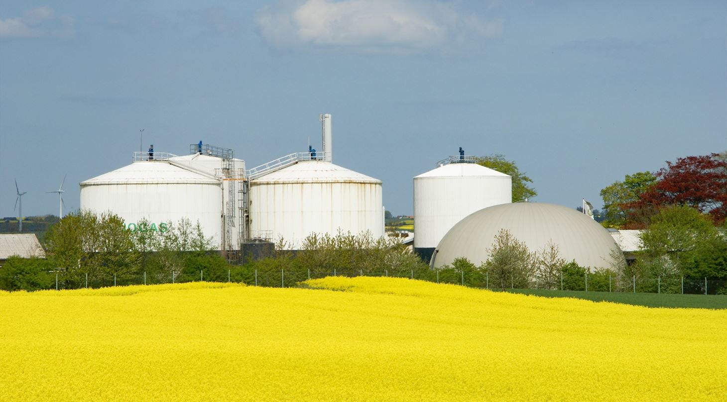 Biogasanlæg