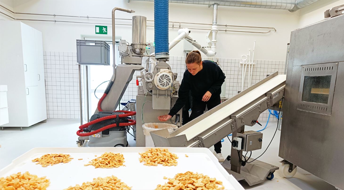 Billede af en produktion, hvor de tester plantebaserede snacks på fødevareekstruderen i Sdr. Stenderup