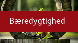 Bredygtighed_knap