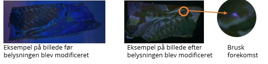detek