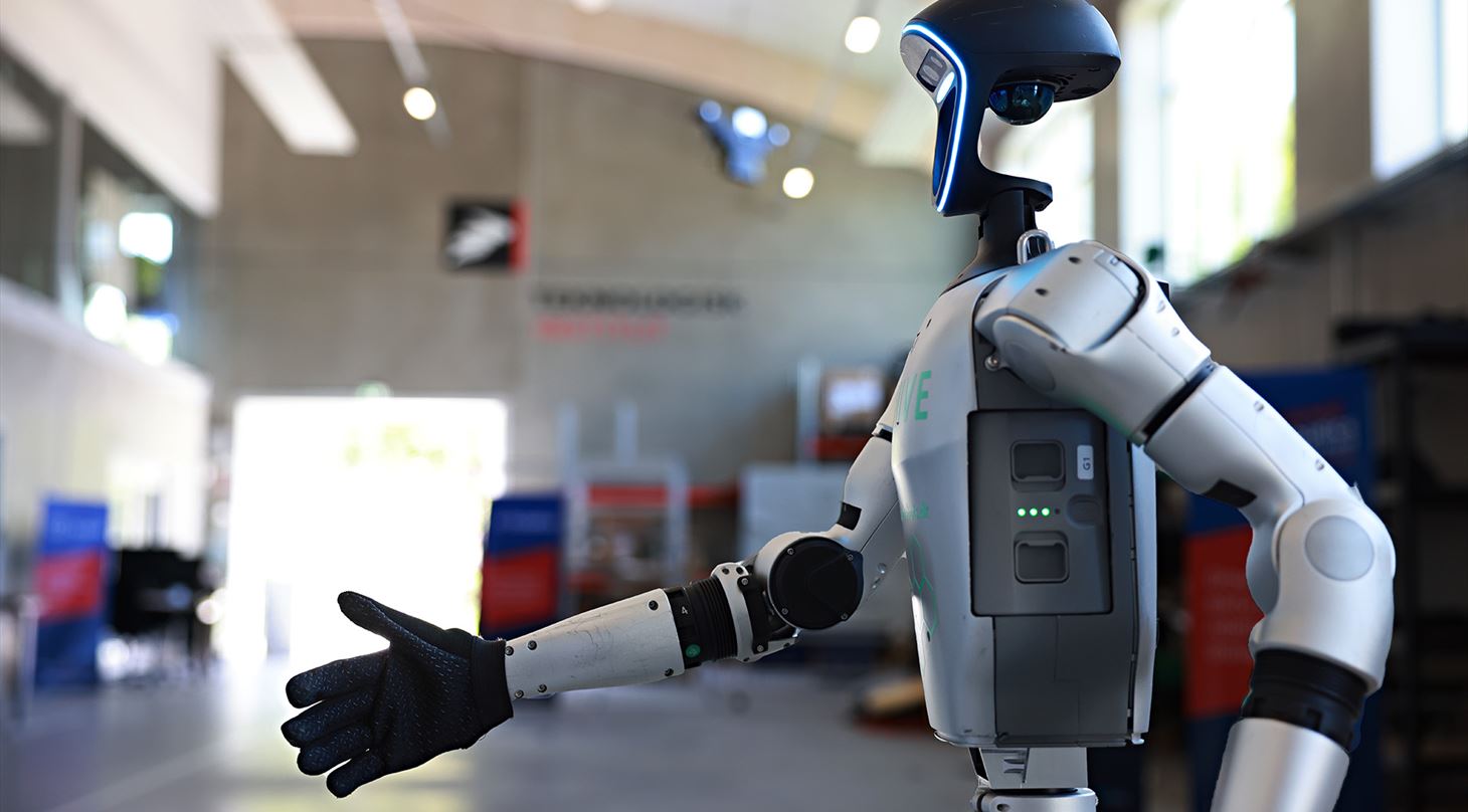 humanoide robotter